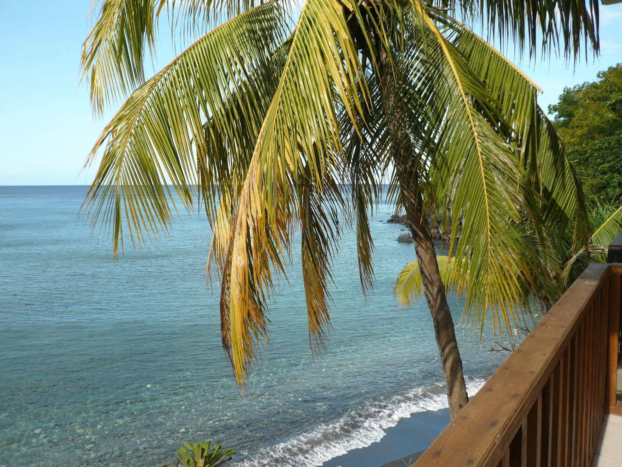 Vienna Beach Resort Amed Exterior foto